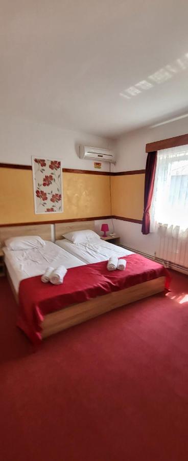 Pensiune Restaurant Arconi Năvodari Kültér fotó